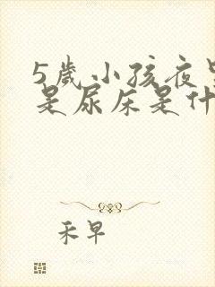 5岁小孩夜里老是尿床是什么原因