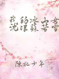 我的冰山女总裁沈浪苏若雪