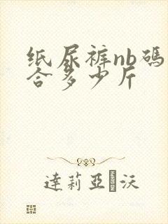 纸尿裤nb码适合多少斤