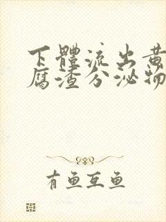 下体流出黄色豆腐渣分泌物是怎么回事