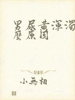 男尿黄浑浊是什么原因