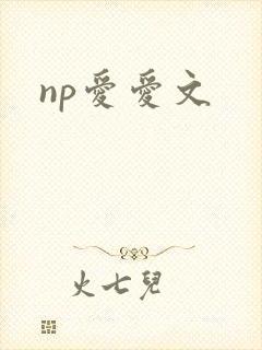 np爱爱文