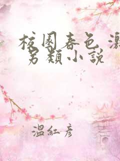 校园春色 激情 另类小说