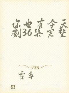 你也有今天电视剧36集完整版