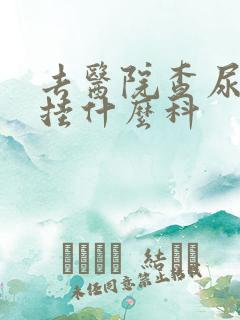 去医院查尿蛋白挂什么科