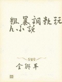 粗暴调教玩弄高h小说