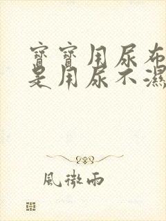 宝宝用尿布好还是用尿不湿好