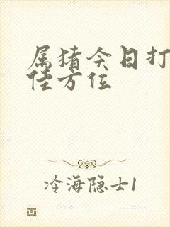 属猪今日打牌最佳方位