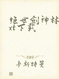 绝世剑神林辰txt下载