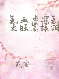 气血虚湿气重肝火旺怎样调理