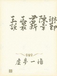 王正君陈琳洁小说最新章节更新时间