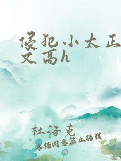 侵犯小太正肉车文高h
