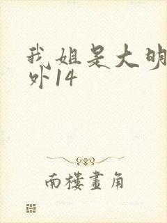 我姐是大明星番外14