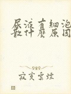 尿液有细泡沫不散什么原因