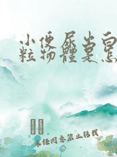 小便尿出白色颗粒物体是怎么回事