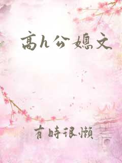 高h公媳文