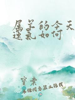 属羊的今天打牌运气如何