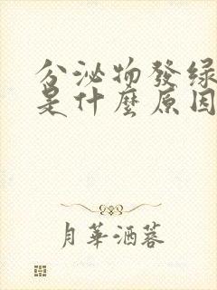 分泌物发绿还痒是什么原因