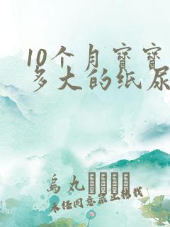 10个月宝宝穿多大的纸尿裤