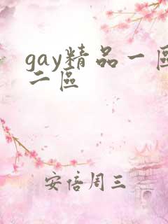 gay精品一区二区
