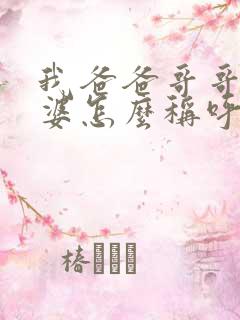 我爸爸哥哥的老婆怎么称呼