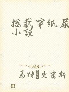 总裁穿纸尿裤的小说