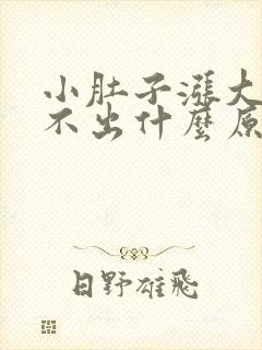 小肚子涨大便拉不出什么原因