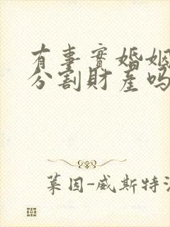 有事实婚姻可以分割财产吗