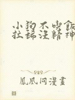 小狗不吃饭呕吐拉稀没精神怎么办