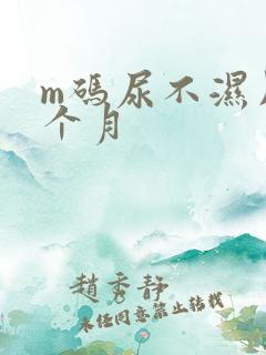 m码尿不湿用几个月