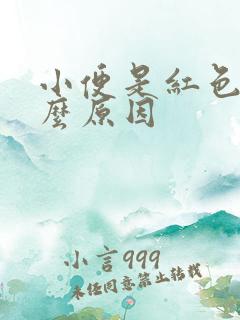 小便是红色的什么原因