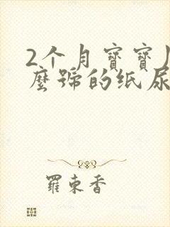 2个月宝宝用什么号的纸尿裤