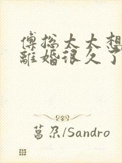 傅总太太想跟你离婚很久了免费阅读小说