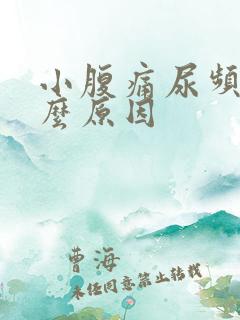 小腹痛尿频是什么原因