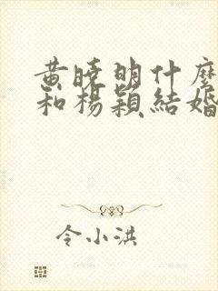 黄晓明什么时候和杨颖结婚的