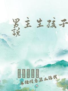 男主生孩子的小说