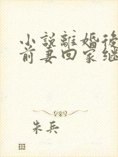 小说离婚后乡下前妻回家继承亿万家产完整版