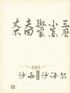 丈夫与小三同居不回家怎么办