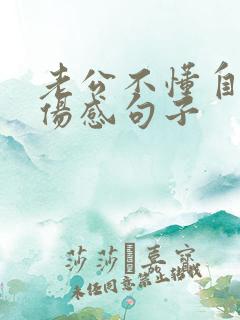 老公不懂自己的伤感句子