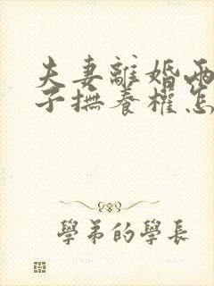 夫妻离婚两个孩子抚养权怎么判