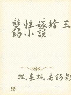 双性嫁给三兄弟的小说