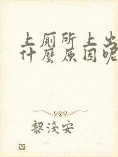 上厕所上出血是什么原因呢