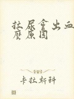 拉尿会出血是什么原因