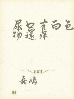 尿口有白色分泌物还痒