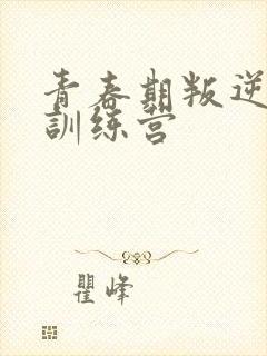 青春期叛逆厌学训练营