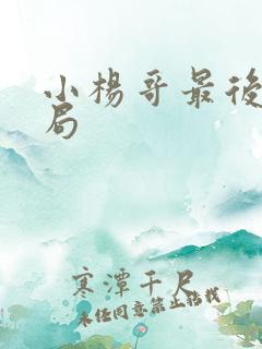 小杨哥最后的结局