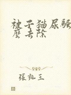 被子猫尿骚味怎么去除