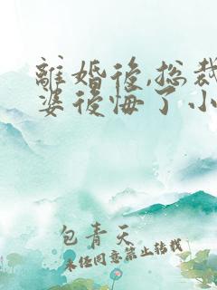 离婚后,总裁老婆后悔了小说完整