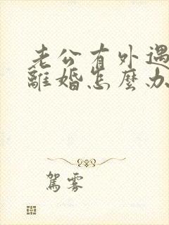 老公有外遇我要离婚怎么办