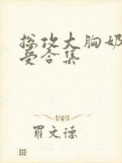 总攻大胸奶双性受合集